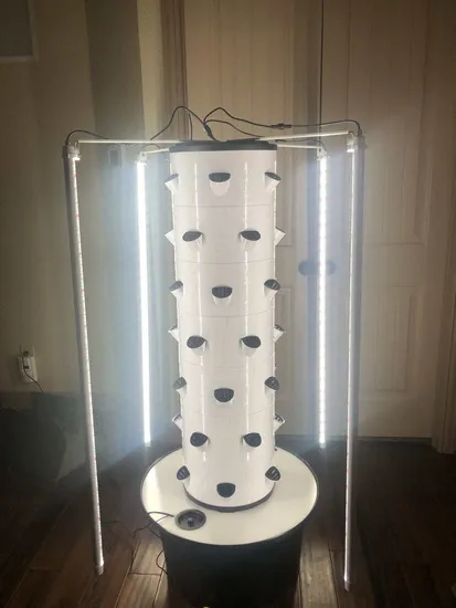 크리스탈 기둥이 있는 아름다운 천연 반모형 단일 지점 지팡이